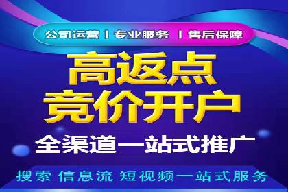 SEM公司案例分析：搜索引擎优化策略与执行